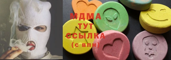 индика Пестово
