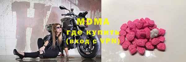 гашик Бикин