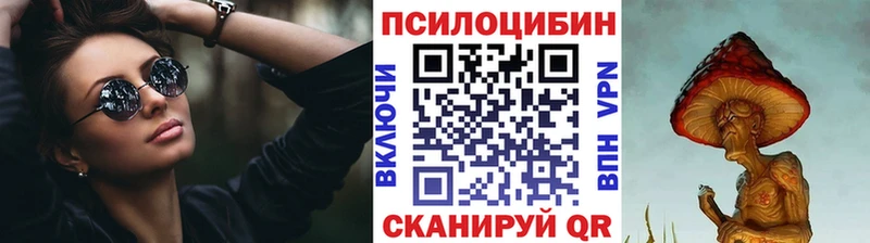 mega онион  Сунжа  Галлюциногенные грибы Magic Shrooms  цены  